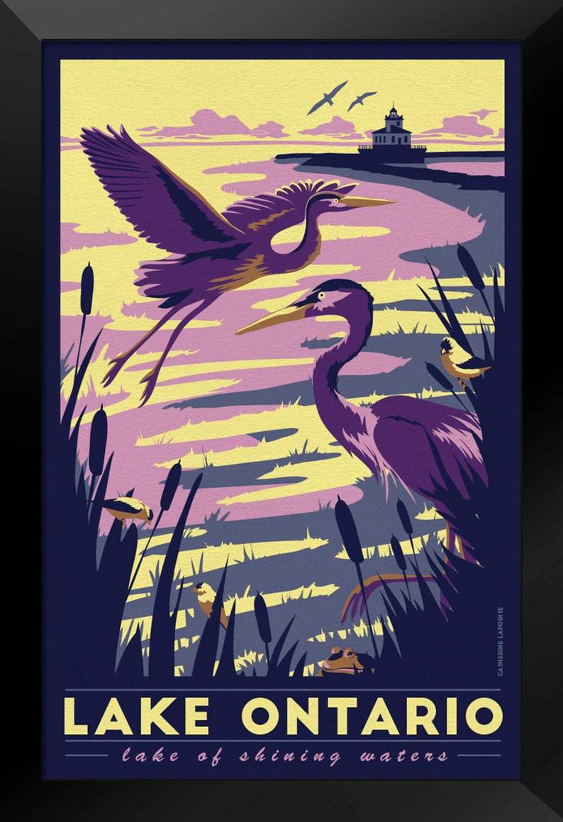 Lake Ontario Vintage Travel Poster Blue Heron, Gold Finches, Wildlife Lighthouse Art Print image 3