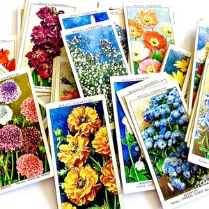 25 Garden Series bloemen vintage ruilkaarten, vintage kortstondige, Junk Journal Botanical Supply, bloemen ephemera, testamenten sigarettenkaarten