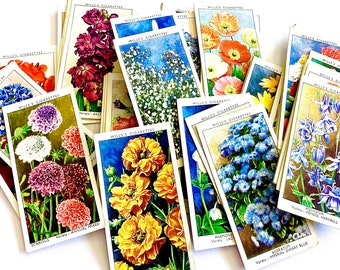 Garden Flowers 1939 | Wills Cigarette Cards | 50 Original Cards | Flower  Pictures | Flower Cigarette Cards