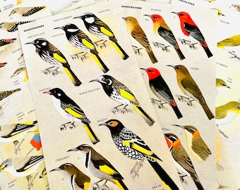 25 Vintage Field Guild Vogelbuch Seiten, Ephemera für Junk Journals, Ephemera Lot, Scrapbooking Lieferung, Journal Zubehör, Vintage Ephemera