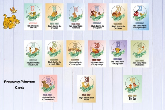 Baby Shower Gift Moment Cards Mum to be Gift Pregnancy Milestone Cards