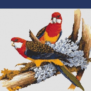 Colorful Parrot Birds Couple Counted Cross Stitch Pattern in PDF for ...