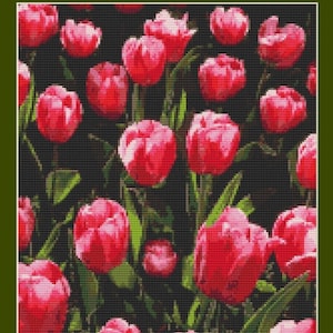 Pink Tulip Flowers Counted Cross Stitch Pattern in PDF for Instant Download