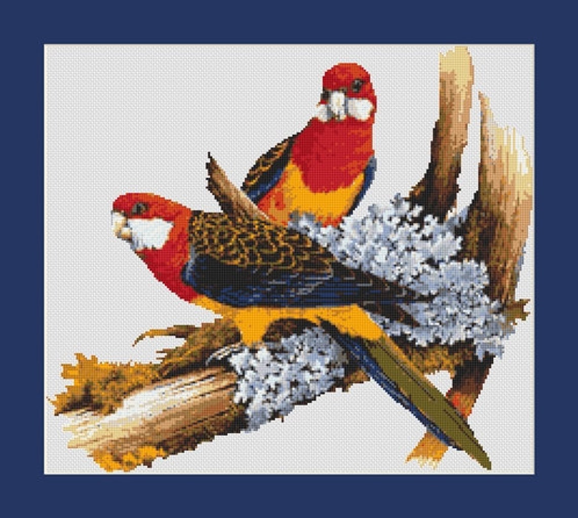 Colorful Parrot Birds Couple Counted Cross Stitch Pattern ...