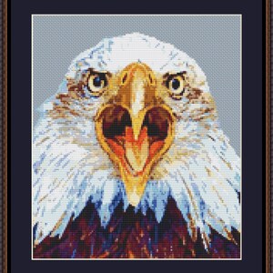 Wilder Weißkopfseeadler Zählmuster (9,57 x 10,43 Zoll oder 24,31 x 26,49 cm) download druckbare PDF-Datei (4094)