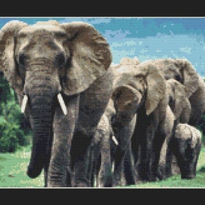 May include: A group of four elephants, including a large adult elephant with long tusks, standing in a grassy field with a blue sky in the background.