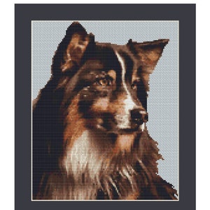 Australischer Schäferhund Zählmuster (21,23 x 25,94 cm) herunterladen druckbare PDF-Datei (4005)