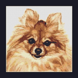Pomeranian Dog Counted Cross Stitch Pattern in PDF for Instant Download