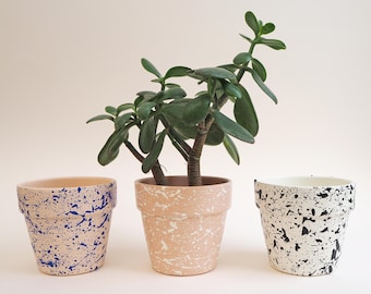 Medium Splatter Pots - Choose your colours, ceramic plant pot, house plants