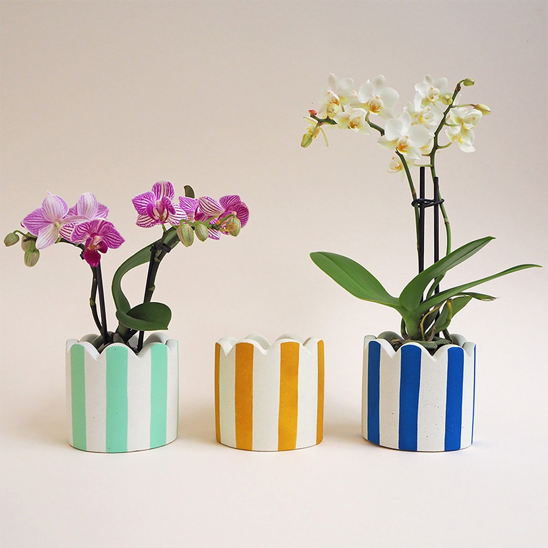 Small Scalloped Stripy Pot - Choose Your Colours - Etsy
