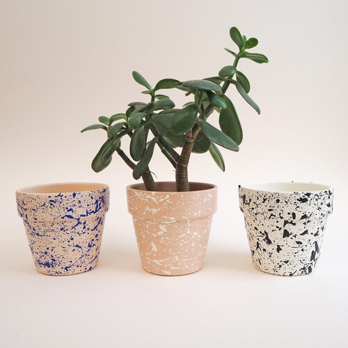 Medium Splatter Pots - Choose your colours, ceramic plant pot, house plants