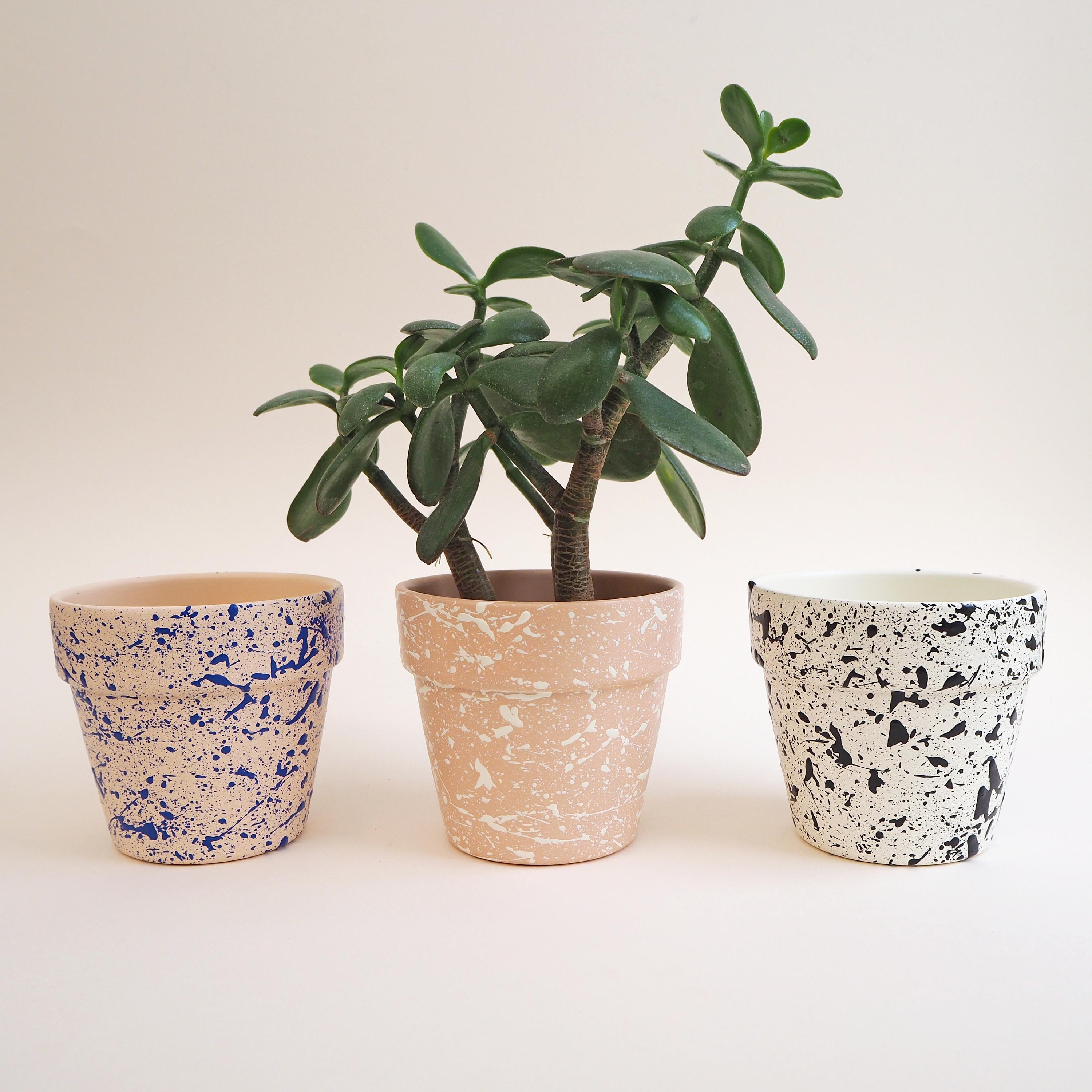 Pots à Éclaboussures Moyennes - Choisissez Vos Couleurs, Pot de Plantes en Céramique, d'intérieur
