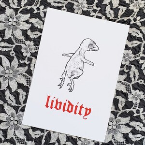 May include: A black and white illustration of a small bird with the word "lividity" written in red below it.