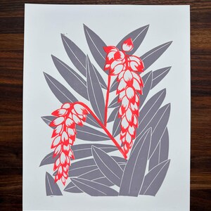 SHELL GINGER Art Print (hand printed)