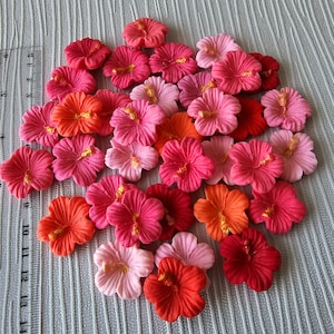 Decoraciones para cupcakes con flores de hibisco tropical rosa y fondant DIY