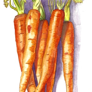Carrot Cluster Watercolor Print | Kitchen Wall Art | Carrot Bunch Art| Vegetable Print| Kitchen Art Print | Perfect Housewarming Gift