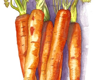 May include: A bunch of six orange carrots with green tops, painted in watercolor on a purple background.