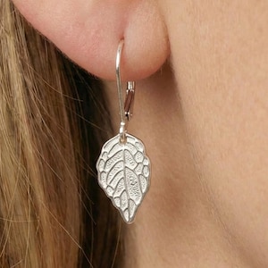 Pendientes de plata de ley con cierre de palanca y hojas: Charms naturales