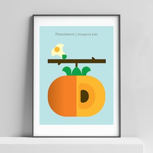 Modern persimmon print for the kitchen, kids room. Persimmon poster, food wall decor, fruit pop art, japanese art print, asian inspired art