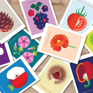 Cartes postales Charming Nature à envoyer ou à exposer. Carte postale botanique moderne, impression de fruits moderne, cartes postales colorées, notes de remerciement culinaires