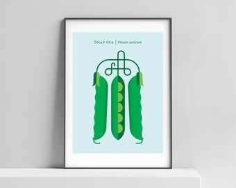 Impresión de guisantes dulces, arte de cocina, arte de pared para habitación de bebé, póster de verduras, guisante dulce, guisante chino, impresión minimalista, amante de la naturaleza, guisantes, decoración de edamame