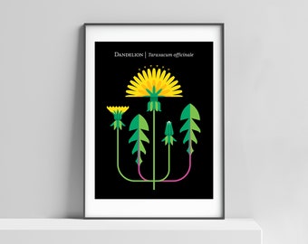 Modern Dandelion art print for the home, kids room. Flower print, modern flower art, dandelion poster, flower poster, Scandinavian design