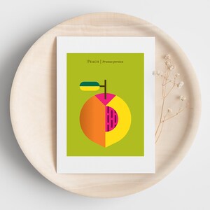May include: A green card with the text "Peach | Prunus persica" and a stylized illustration of a peach with a green leaf. The peach is cut in half, revealing a yellow, orange, and pink interior.