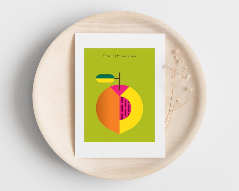 May include: A green card with the text "Peach | Prunus persica" and a stylized illustration of a peach with a green leaf. The peach is cut in half, revealing a yellow, orange, and pink interior.