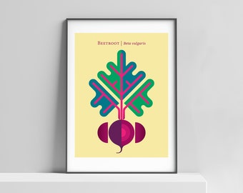 Beetroot print design for kitchen, restaurant decor, kids room. Beet poster, vegetable poster, botanical print, garden art print, beet print