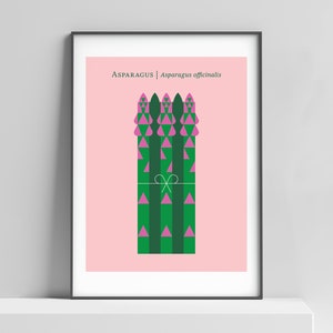 Stampa di asparagi arte da cucina. Stampa di verdure, arte di asparagi, design minimalista, poster di verdure moderno, poster di cibo moderno