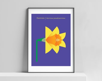 Daffodil modern flower art print poster for the home, kitchen. Botanical wall art, Scandinavian flower design, modern floral, japandi style