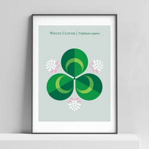 White Clover modern art print for the home, office, baby room. Nature print, clover art, botanical print, irish art, shamrock, spring art