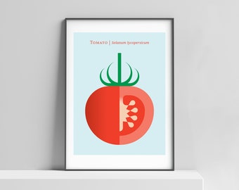 Modern tomato print for the home. Kitchen art, vegetable poster, tomato poster, vegetable art, tomato art, modern botanical art