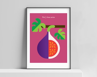 Fig poster fruit print for home, office, kids room. Minimalist art, fig print, modern design, fruit poster, fruit home decor, botanical art