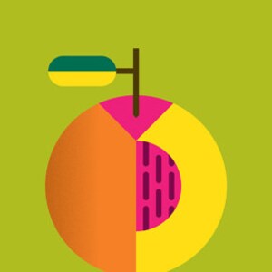 May include: A stylized illustration of a peach with a green leaf. The peach is cut in half, revealing a yellow and pink interior with a brown pit. The text "PEACH | Prunus persica" is displayed above the peach.