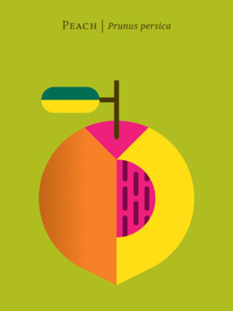 May include: A stylized illustration of a peach with a green leaf. The peach is cut in half, revealing a yellow and pink interior with a brown pit. The text "PEACH | Prunus persica" is displayed above the peach.