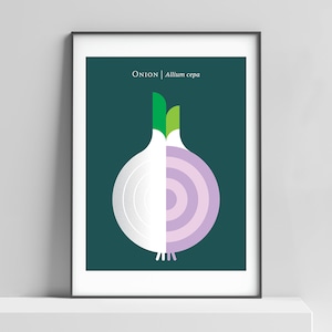 Modern onion art print for the kitchen, home interior. Mid century modern vegetable print, retro food poster, nordic inspired wall decor