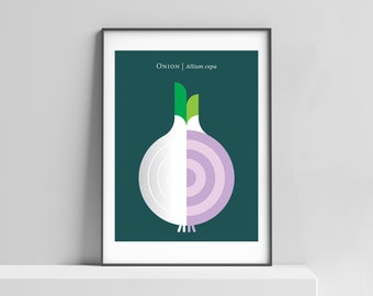 Modern onion art print for the kitchen, home interior. Mid century modern vegetable print, retro food poster, nordic inspired wall decor