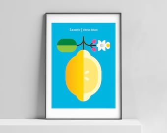 Lemon modern art print for the home, office, kids room. Minimalist art, lemon print, lemon poster, fruit poster, kitchen art, lemon art