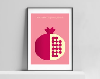 Pomegranate poster fruit print for home/office. Geometric design, modern kitchen art, minimalist pomegranate, exotic fruit