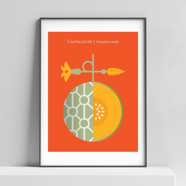 Cantaloupe modern art print poster for the home, kitchen, kids room. Modern fruit print, Cantaloupe print, muskmelon print, fruit wall art