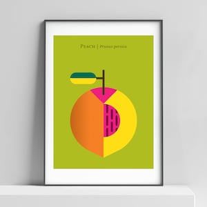 Modern peach art print for the home, kitchen, baby room. Minimalist fruit art, retro poster design, peach wall decor, peaches art