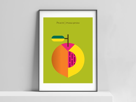 Modern peach art print for the home, kitchen, baby room. Minimalist fruit art, retro poster design, peach wall decor, peaches art