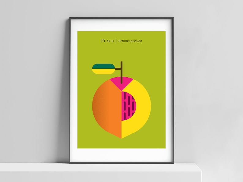 May include: A minimalist illustration of a peach with a green leaf and stem. The peach is divided into sections of orange, yellow, and pink. The text "PEACH | Prunus persica" is printed below the peach.