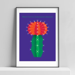 Mond Kaktus moderner Kunstdruck für zu Hause, Büro, Wohnheim, Wüstenpflanze Naturkunst, Sukkulenten Poster, westliche Kunstdekoration, Kaktus botanische Kunst