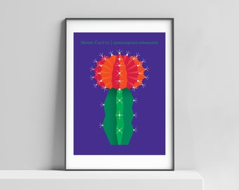 Moon Cactus modern art print for the home, office, dorm, desert plant nature art, succulant poster, western art decor, cactus botanical art