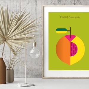 May include: A minimalist poster with a green background featuring a stylized peach with a yellow, orange, and pink design. The text "Peach | Prunus persica" is printed in black at the top of the poster.