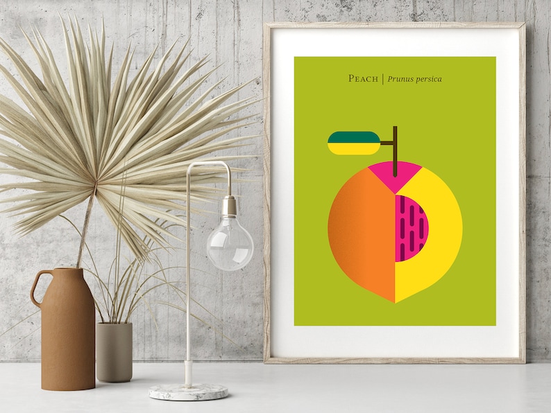 May include: A minimalist poster with a green background featuring a stylized peach with a yellow, orange, and pink design. The text "Peach | Prunus persica" is printed in black at the top of the poster.