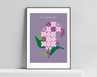 Lilac modern art print for the home, kitchen or kids room. Lilac print, flower print, modern floral, flower design, flower poster, lilac art