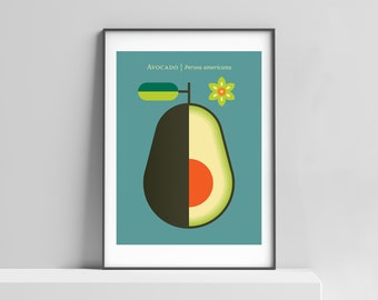 Modern Avocado art print for home, office, kitchen. Vegetable print, california print, nordic style, scandinavian art, avocado illustration